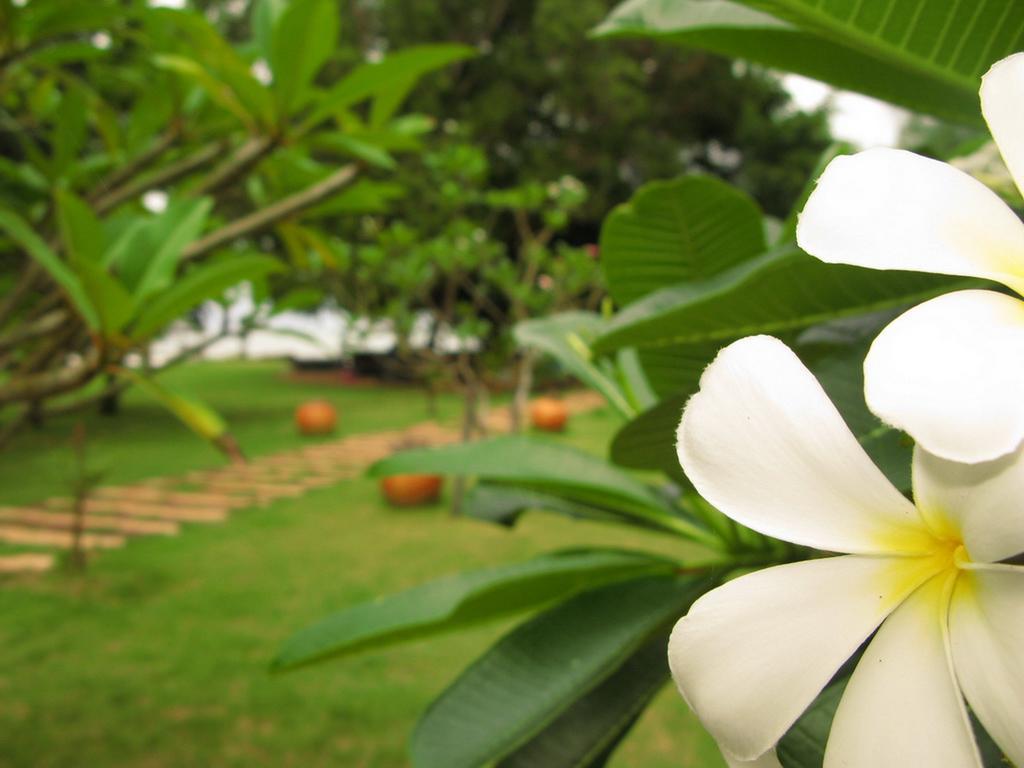 Baan Pun Sook Resort Chao Lao Beach Buitenkant foto